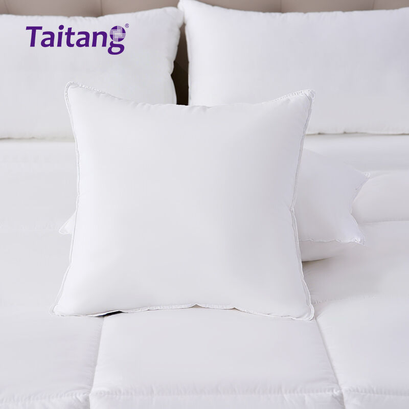 A centered hero shot of the Taitang 50x50cm decorative pillow insert, showcasing its full-bodied, high-loft appearance.jpg