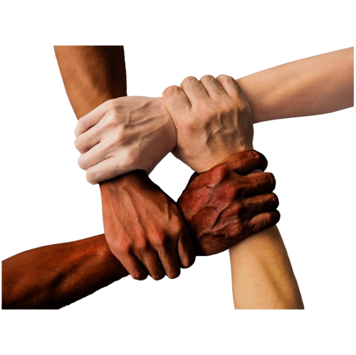 Company's Vision is to Move Towards Internationalization and Achieve Win-win Cooperation