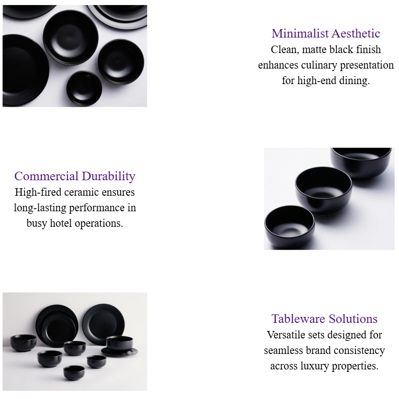 Matte Black Japanese-Style Ceramic Dinnerware Collection.png