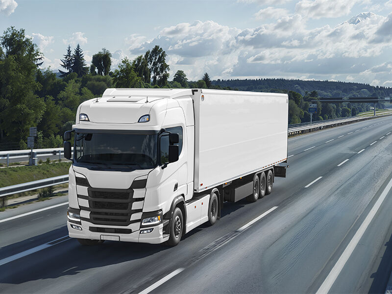 Un importante venditore transfrontaliero di ricambi auto per il Nord America: magazzino e distribuzione integrati su tutto il territorio statunitense + servizio dedicato di consegna con camion