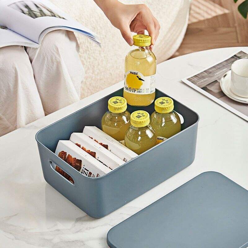 с 2025 по 2030 годы среднегодовой темп роста составит 6,9%! Мировой рынок пластиковых ящиков для хранения с ручкой превысит 410 миллиардов долларов, открытые модели остаются популярными