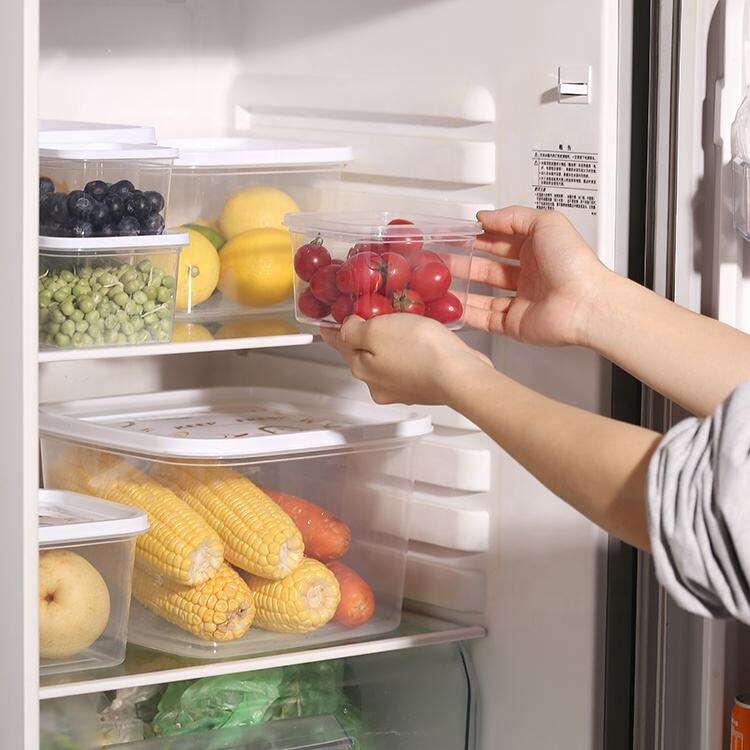 por que o mercado de recipientes domésticos para armazenamento de alimentos no Oriente Médio crescerá acentuadamente em 2025? Os modelos básicos dominam, e a relação custo/benefício está em primeiro lugar