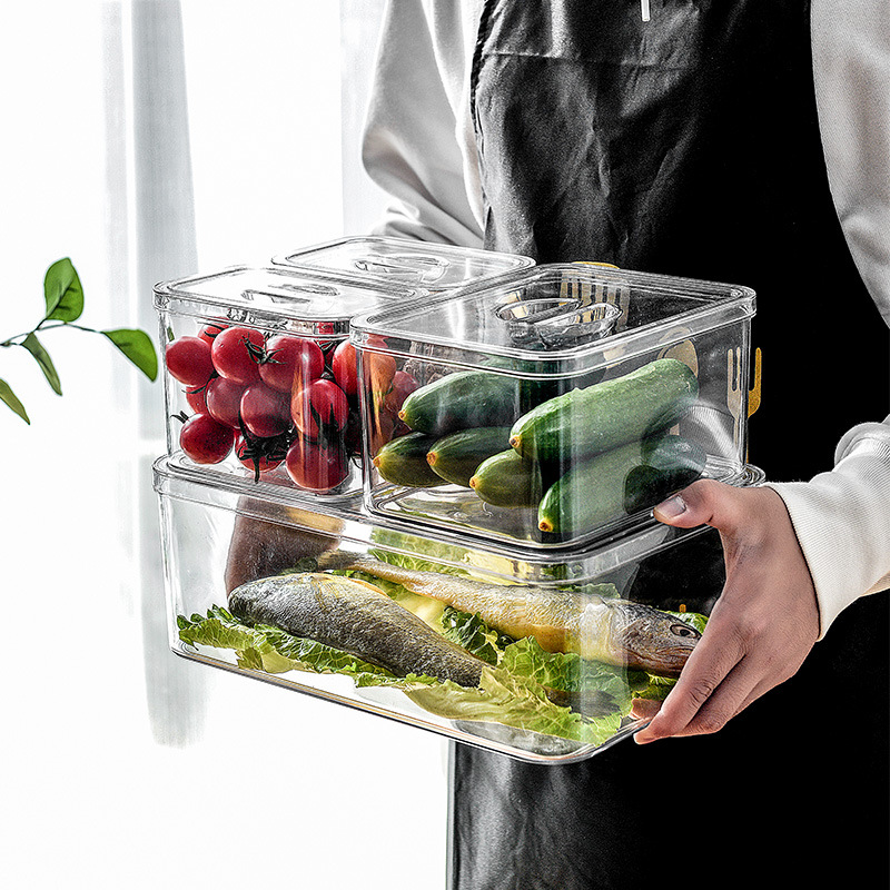 tendência de cozinhas sofisticadas no Japão e na Coreia: até 2025, recipientes transparentes para geladeira tornam-se a escolha da juventude