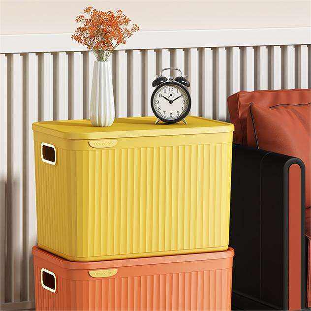 espera-se que o mercado de recipientes domésticos para armazenamento com tampa e alças de grande capacidade ultrapasse 19,8 bilhões de dólares americanos até 2025, impulsionado pelo crescimento da demanda por soluções de armazenamento residencial