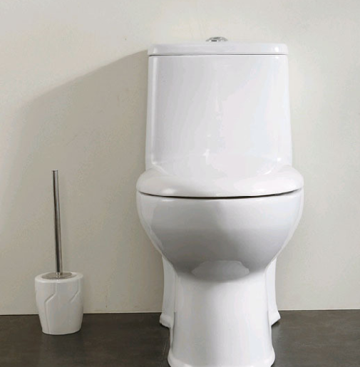 Toilet- (10).png