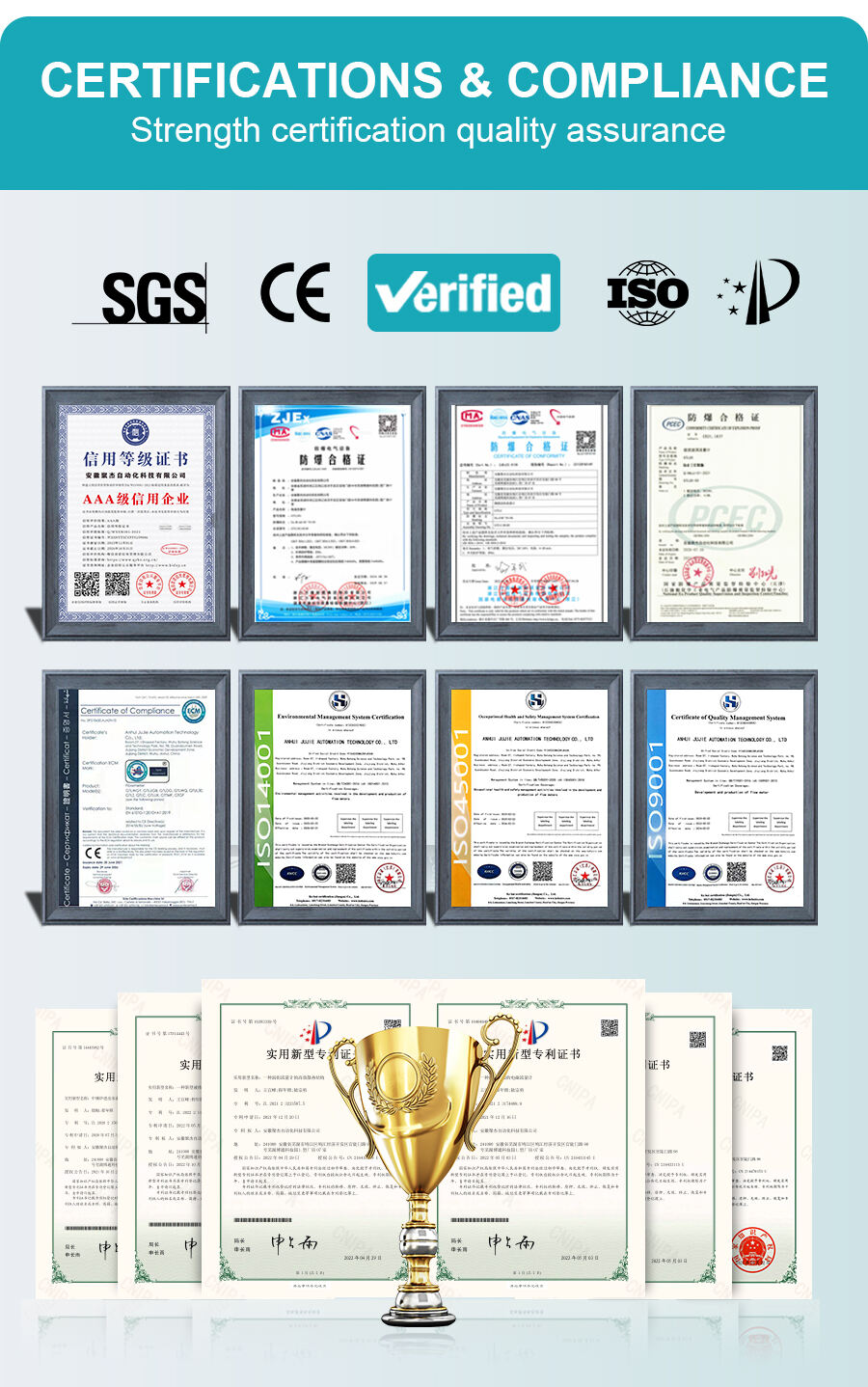 PGLLJ252-详_10.jpg