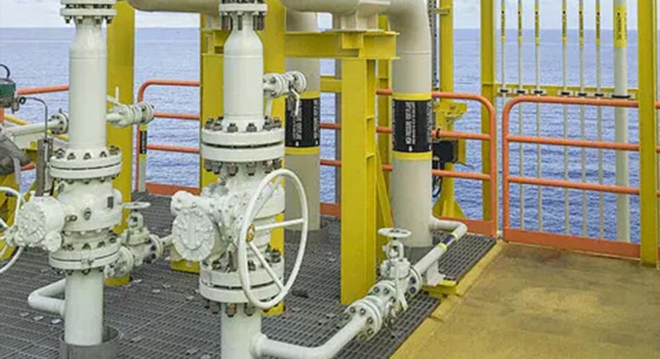 Case Study of a Chinese Flow Meter Manufacturer - DN20 Electromagnetic Flowmeter Solution for Seawater Heat Measurement on US Ships