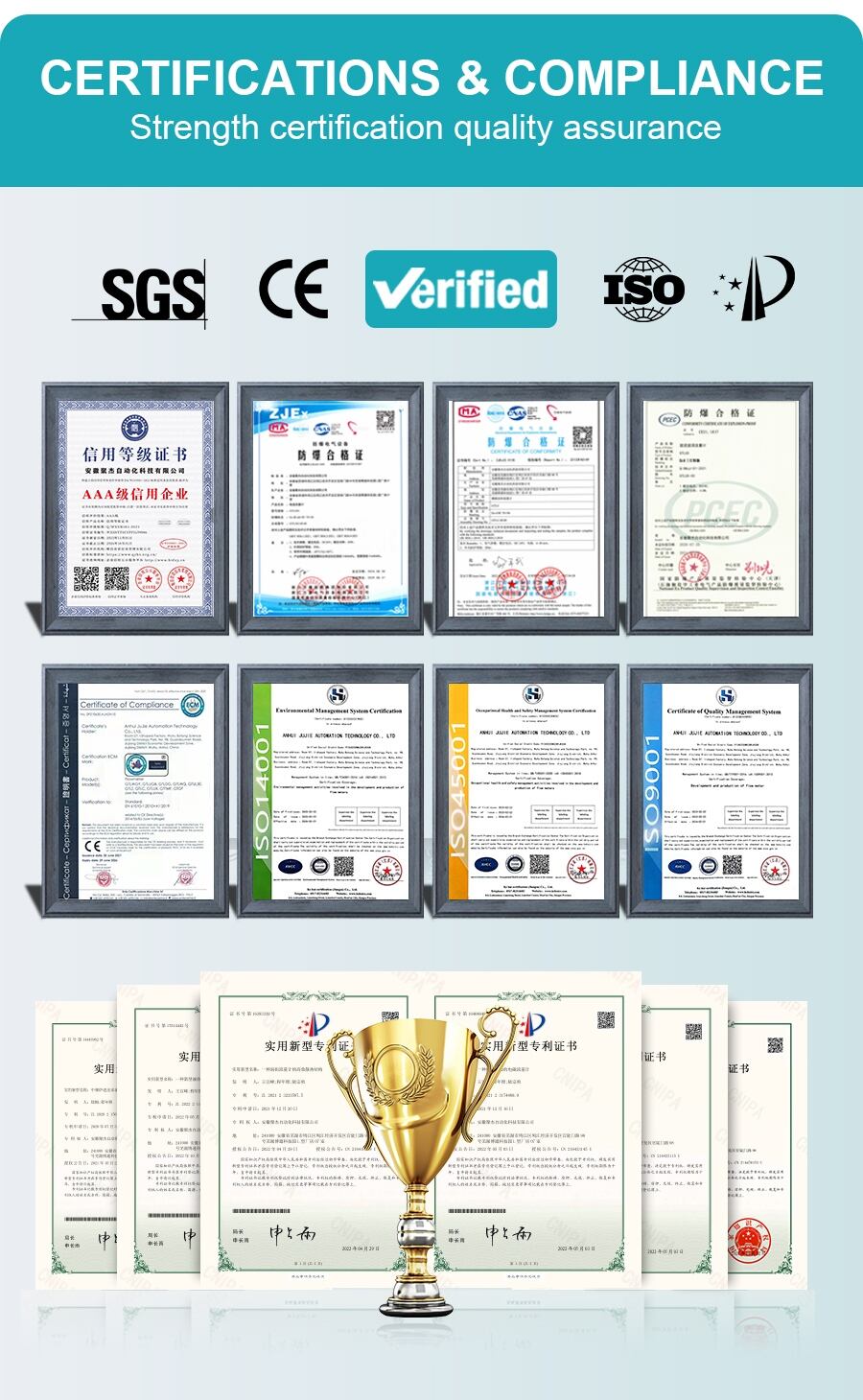 详_08(f260f1c61c).jpg