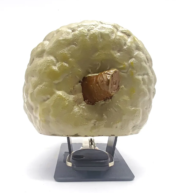 どの隠し収納薬入れボックスが卸売の最小発注数量（MOQ）要件を満たしていますか？