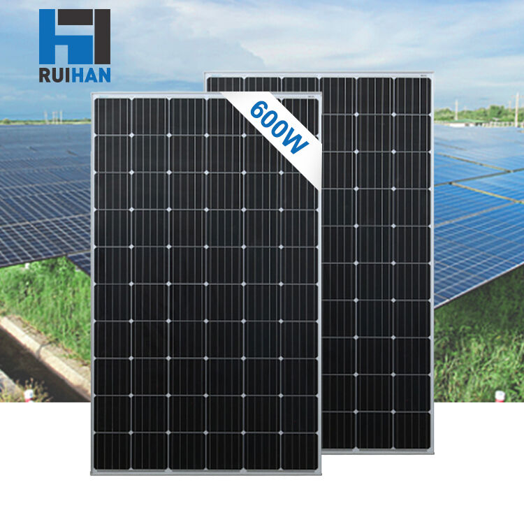 Multi-Voltage na Solar Panel - Kompatibol sa 12V/24V/110V/220V na Sistema ng Imbakan