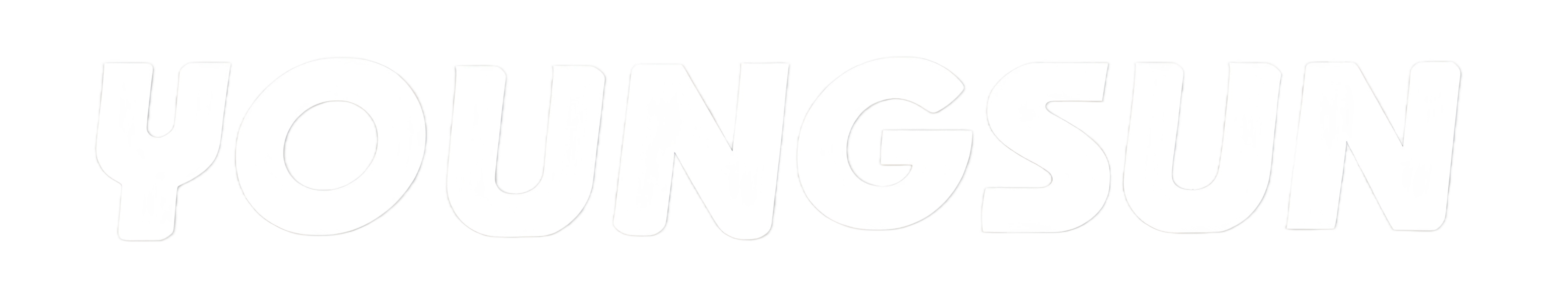 Wenzhou Youngsun Intelligent Equipment Co., Ltd.