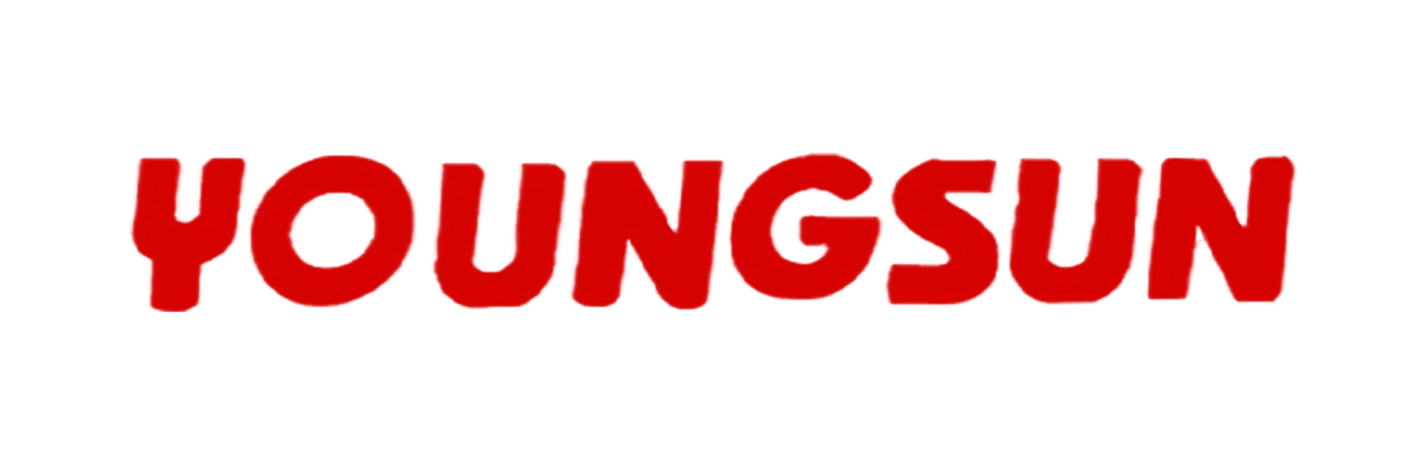 Wenzhou Youngsun Intelligent Equipment Co., Ltd.