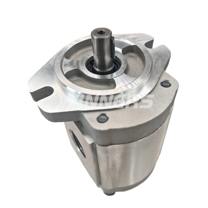 Industrial Gear Pump 2GG1P06R 2GG1P07R 2GG1P16R Chinese Oil Pump Hydraulics Pumps 2GG1P09R High Efficiency and Low Noise