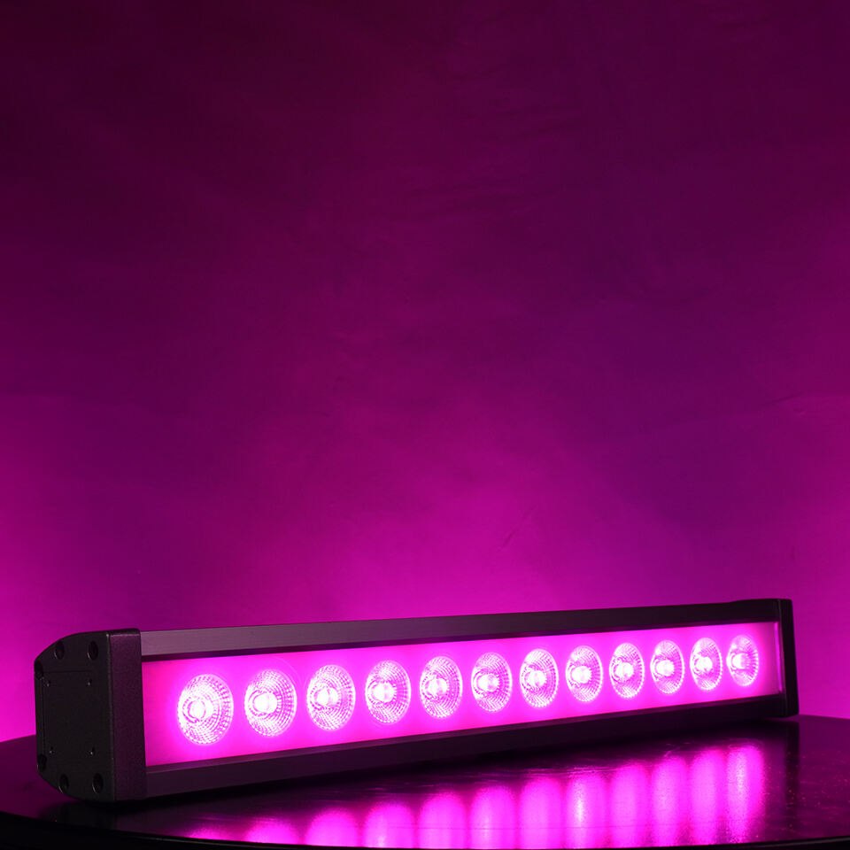 Pencahayaan Pencuci Dinding