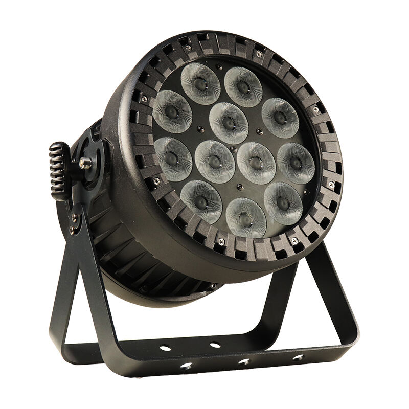 IP65 12×20W LED Par Light
