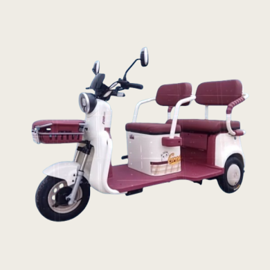 Electric tricycle