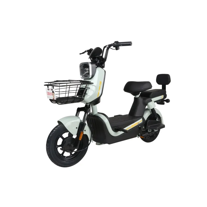 Bicicletta Elettrica: Sblocca Percorsi di Lunga Distanza con un'Autonomia Potente