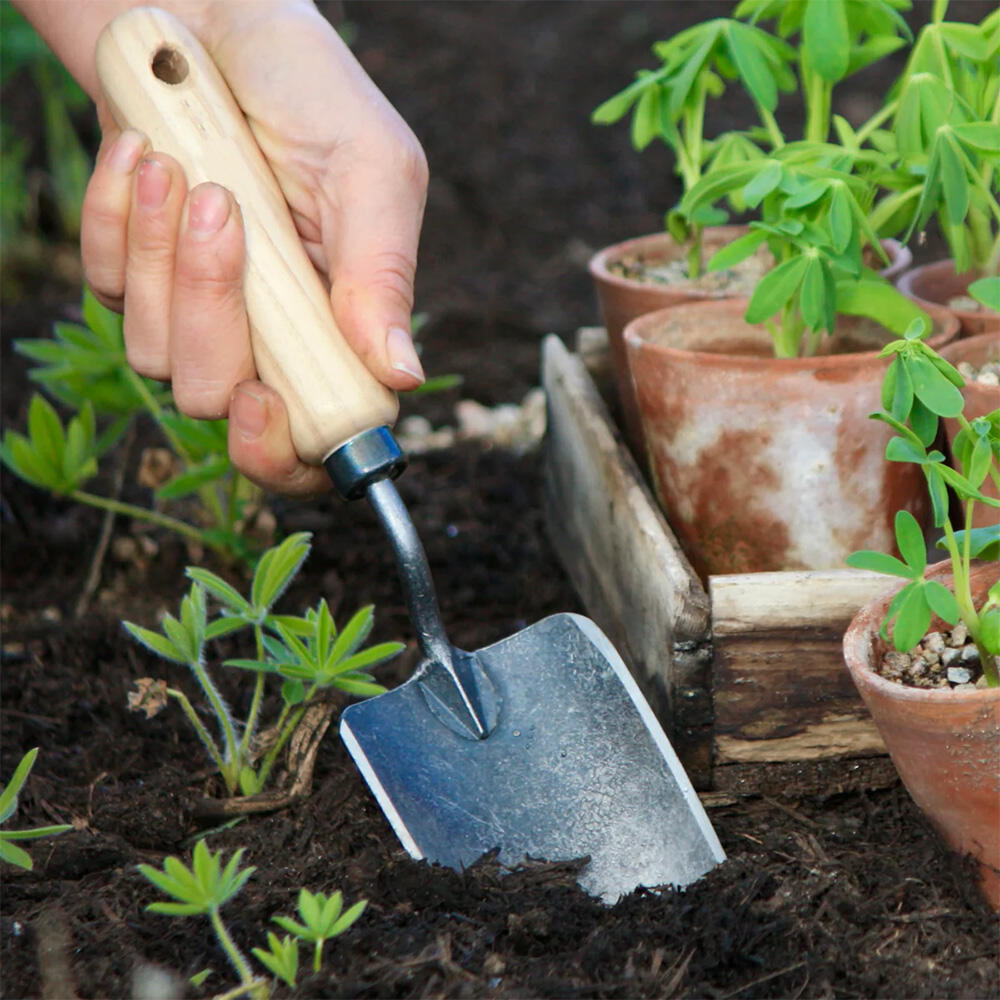 trowel garden tool.jpg