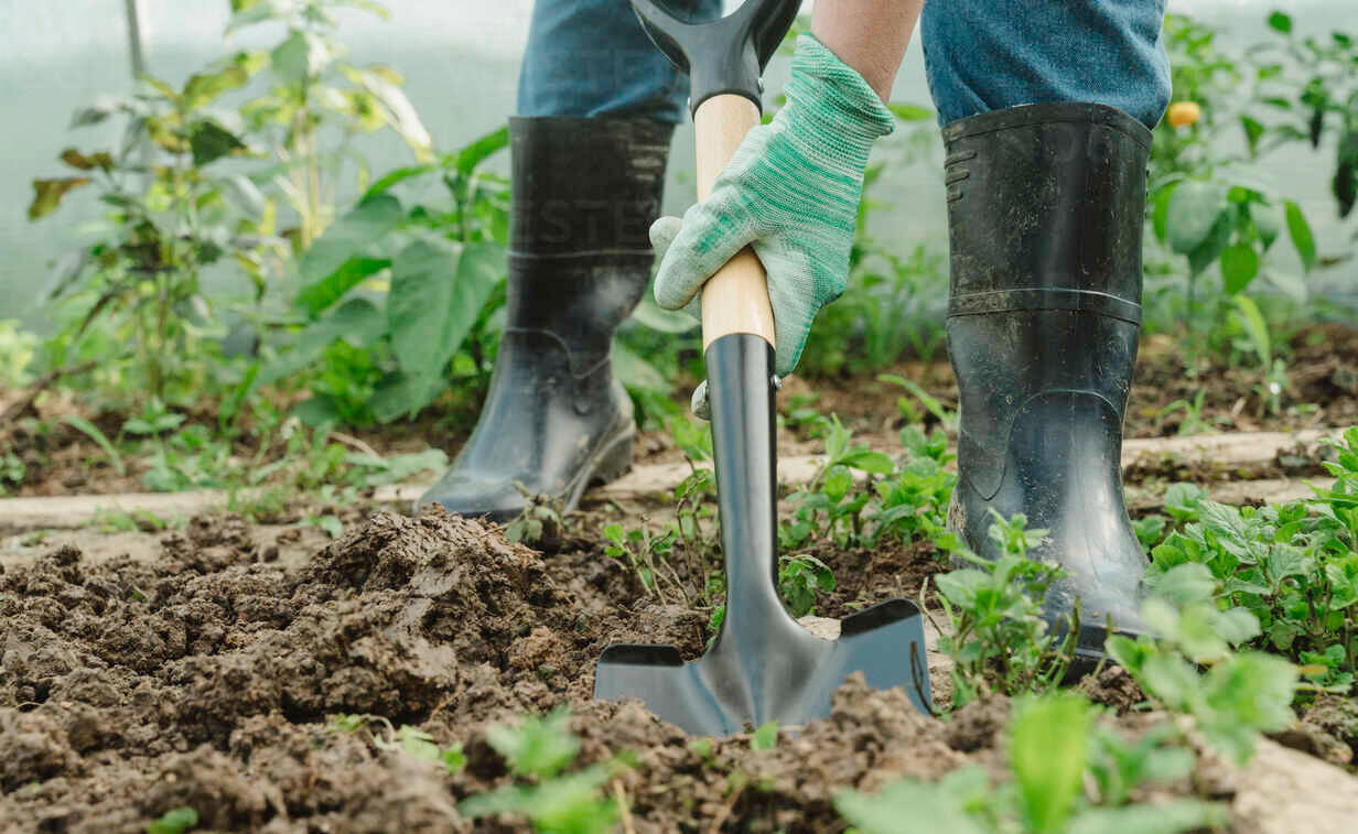 shovel with wood handle.jpg