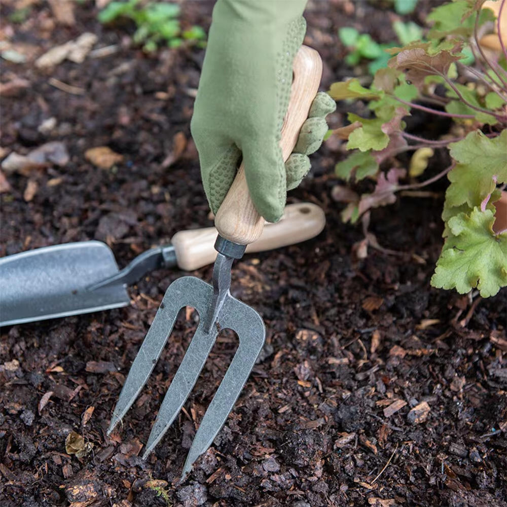 garden fork with handle.jpg