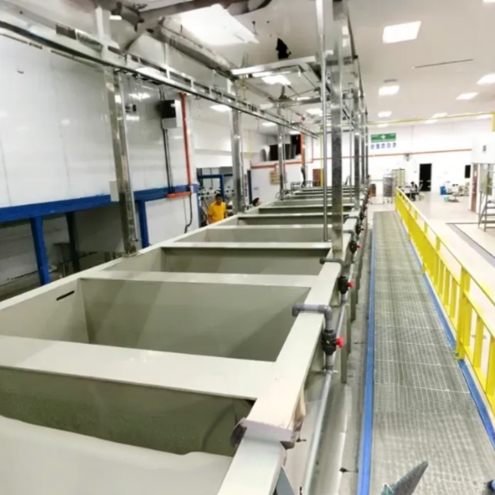 Linea di Rivestimento Elettroforetico: Migliorare l'Estetica e la Durabilità degli Artigianati