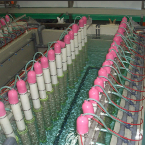 Liquid Painting Line: Flexible Processes Meet Diverse Coating Requirements