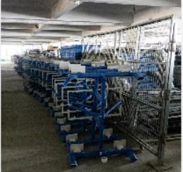 Successful Factory Visit & In-depth Communication With Valued Nigerian Client