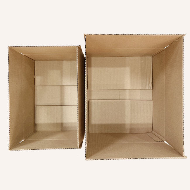 Pourquoi choisir nos cartons d'expédition neutres ?