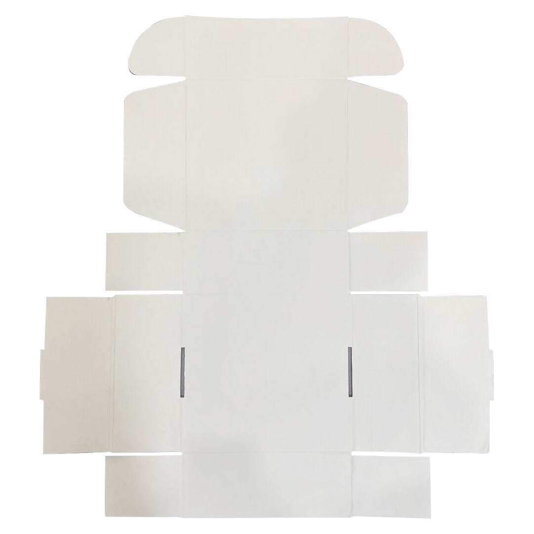 Sustainable Packaging Solutions for Eco-Conscious Brands