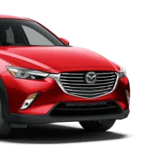 Focus on Innovation & Partnership