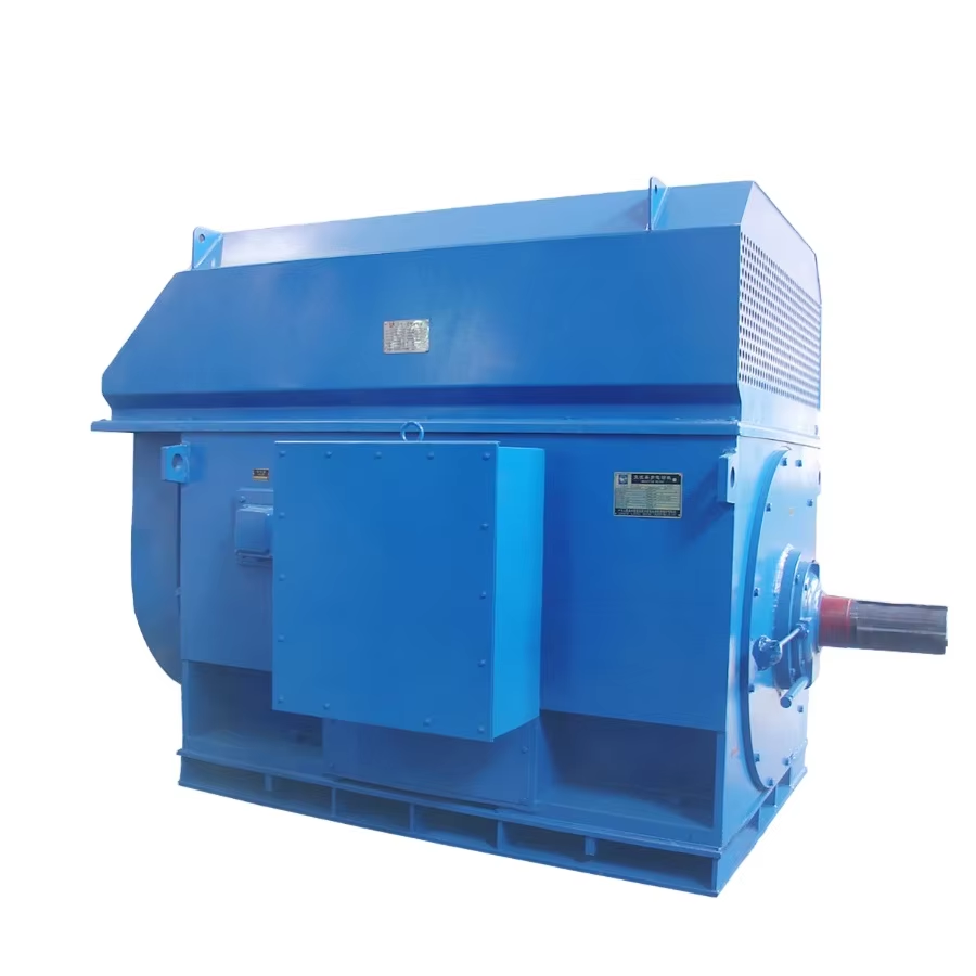 High Voltage AC Motors: How to Choose?