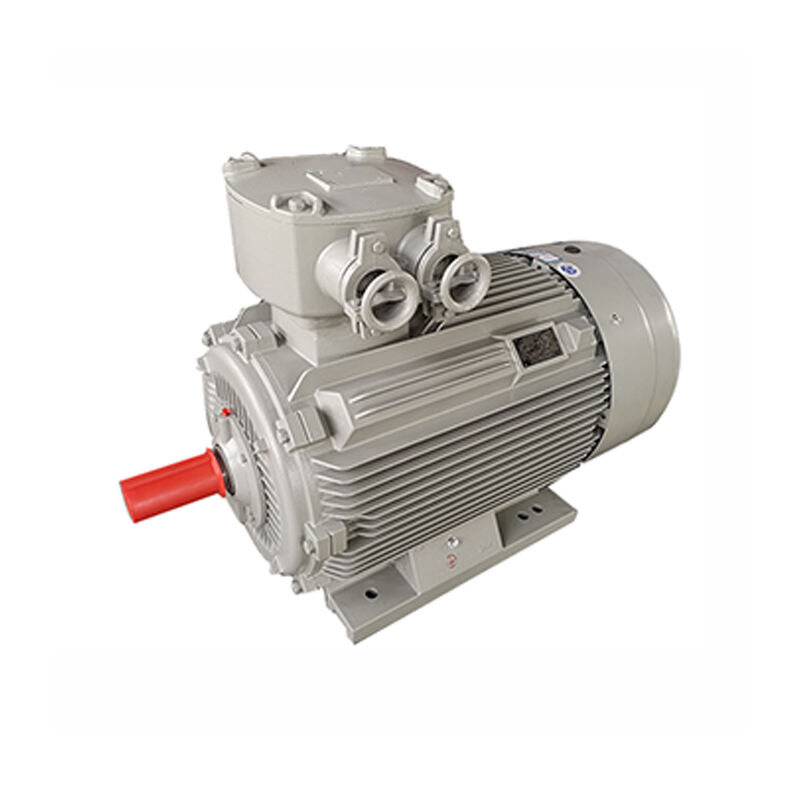 WE series three-phase asynchronous motors