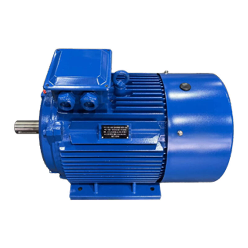 WEPM Series VFD Permanent Magnet Synchronous Motors