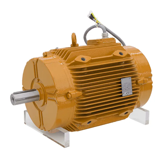 How to Customize Special Application Motors for Specific Needs?
