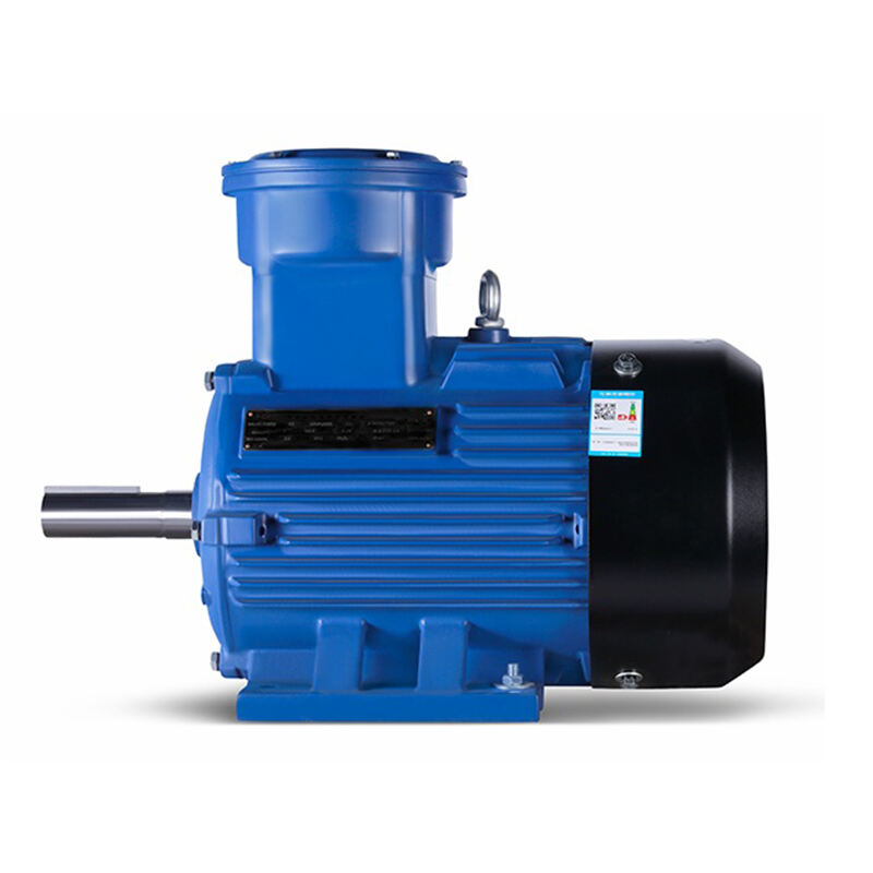 Y3/YX3 series high-voltage three-phase asynchronous motor