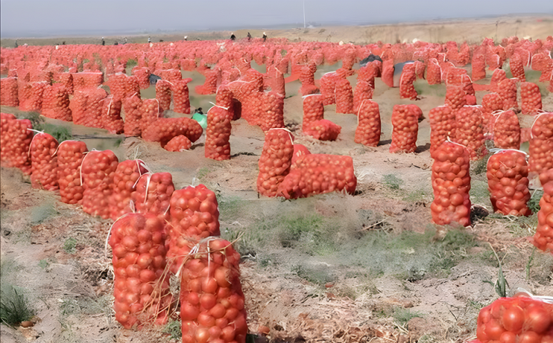 RED LENO MESH BAG FOR PACKING ONIONS