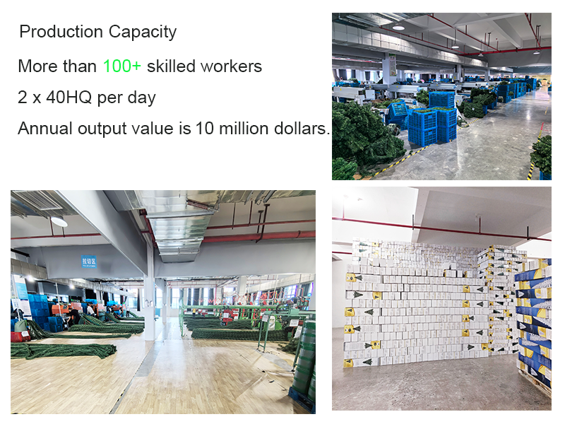 Production Capacity