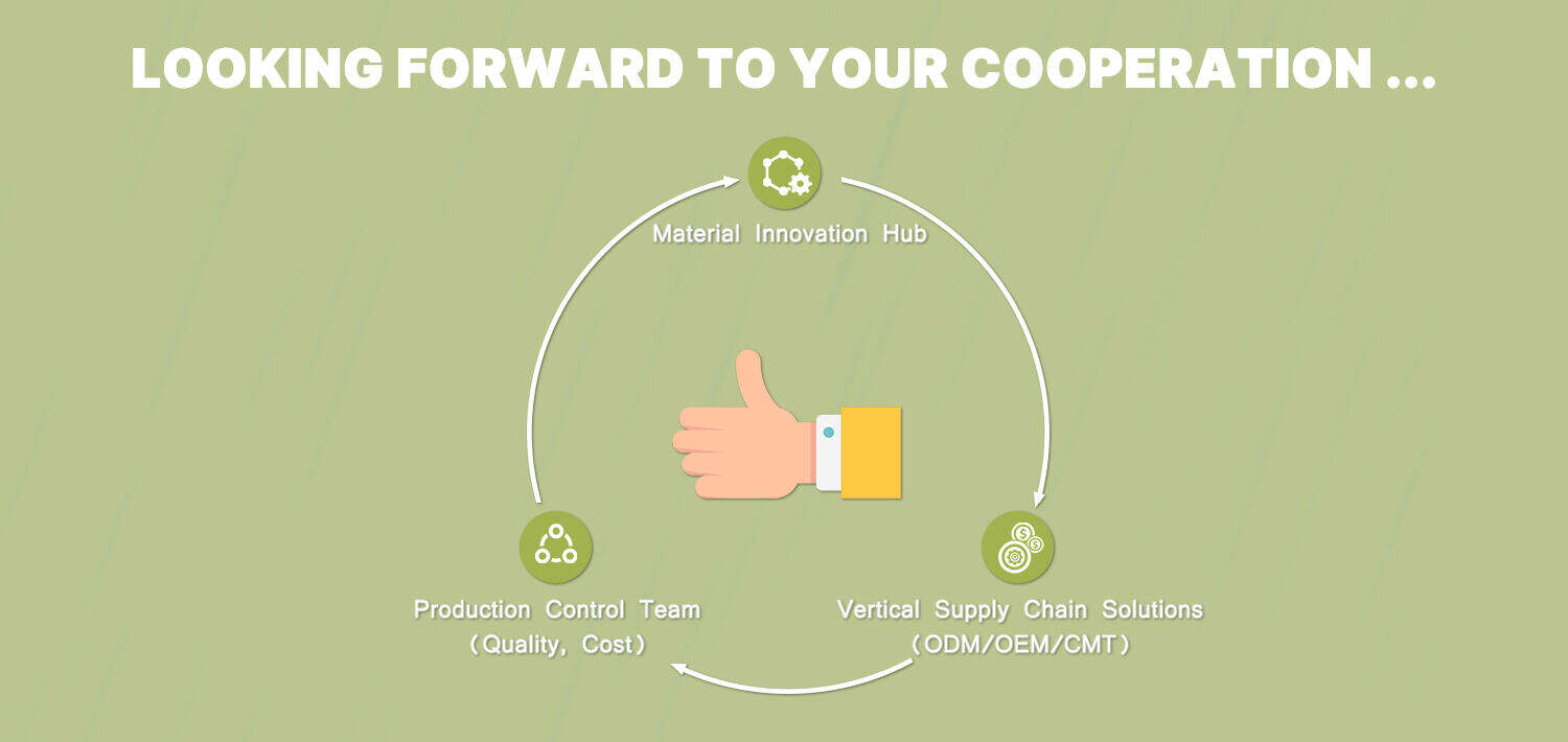 FEIMEI  YONGSHU business expand from Vietnam market to the Global market (6).jpeg