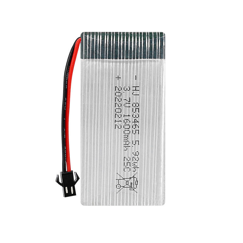 Polymer Battery