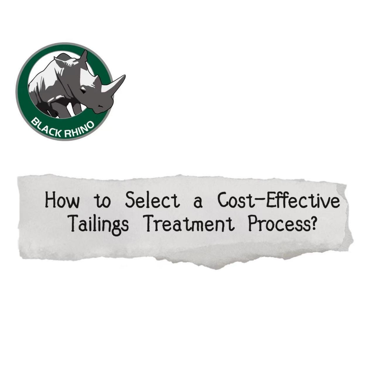 How Can a Cost-effective Tailings Treatment Process be Selected?