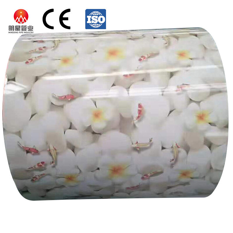 Z30g Zinc-Coated RAL PPGI Galvanized Matt Steel Coil 316ti/300 Series for Metalli Roofing Sheet Inconsutilem Flexionem Punching