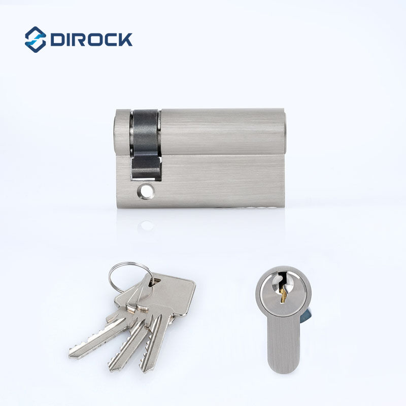 Certified Euro Profile Cylinder for Fire Door Security