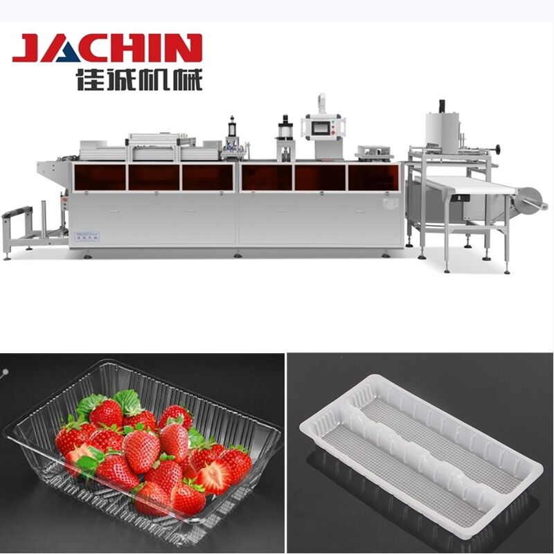 Машина для термоформування кришок із поліпропілену: передові технології для точного виробництва кришок