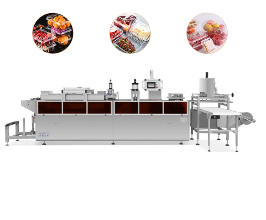 Makina sa Pagbuo ng Plastik na Baso na Biodegradable – Produksyon na Kaibigan sa Kalikasan