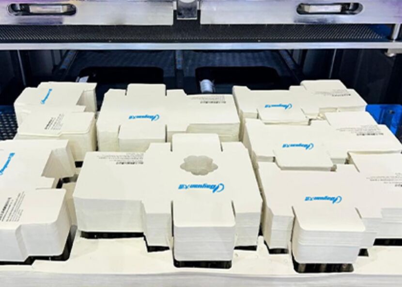 2.After Stripping &Blanking_WH_830x592px.jpg