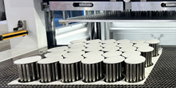 2.Whole stripping (upper pins and lower pins).png