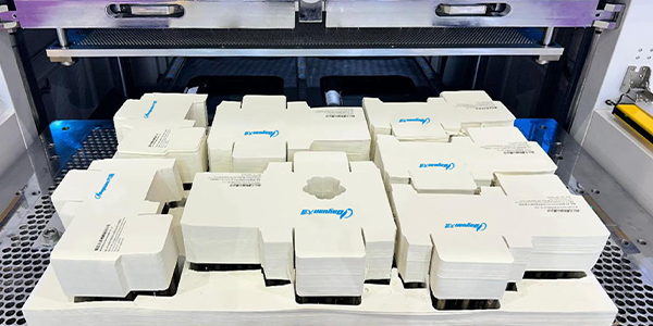 2.After Stripping &Blanking.png