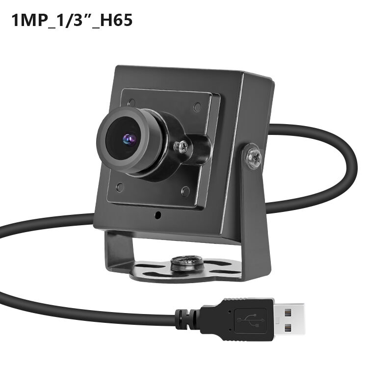 Câmera USB H65 1MP 720P 30fps Sensor CMOS 1/3" 1 Megapixel Câmera Mini com Windows/Android/Linux