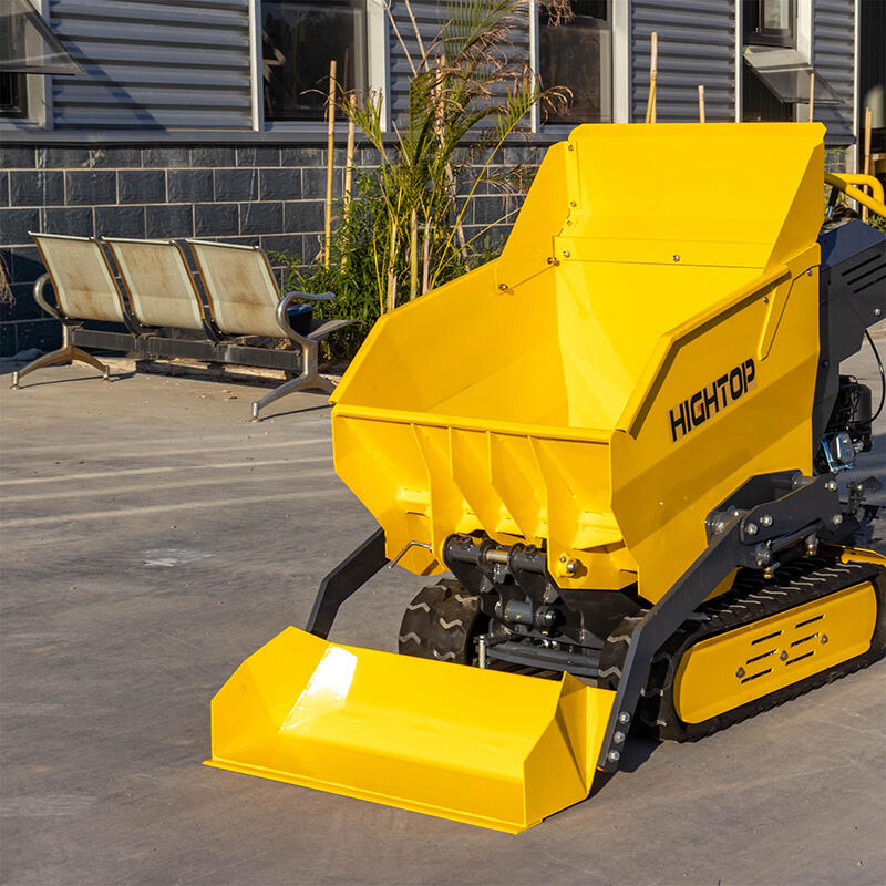 Mini Crawler Dumper
