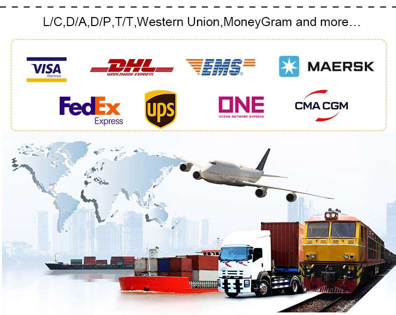 HT1000 skid steer loader